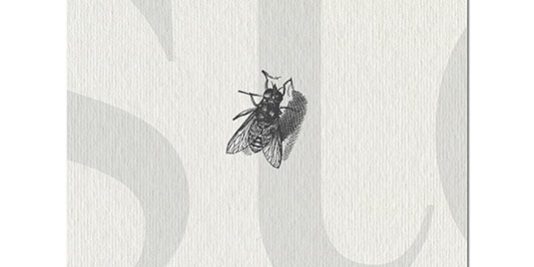 postcard105x148_SN_for site.indd