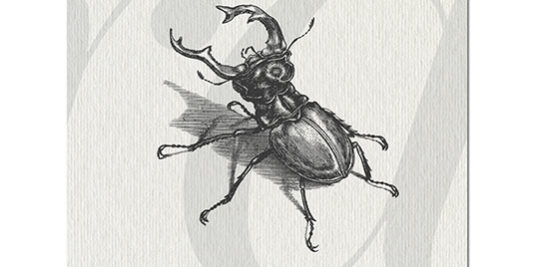 postcard105x148_SN_for site.indd
