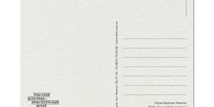 postcard105x148_SN_for site.indd