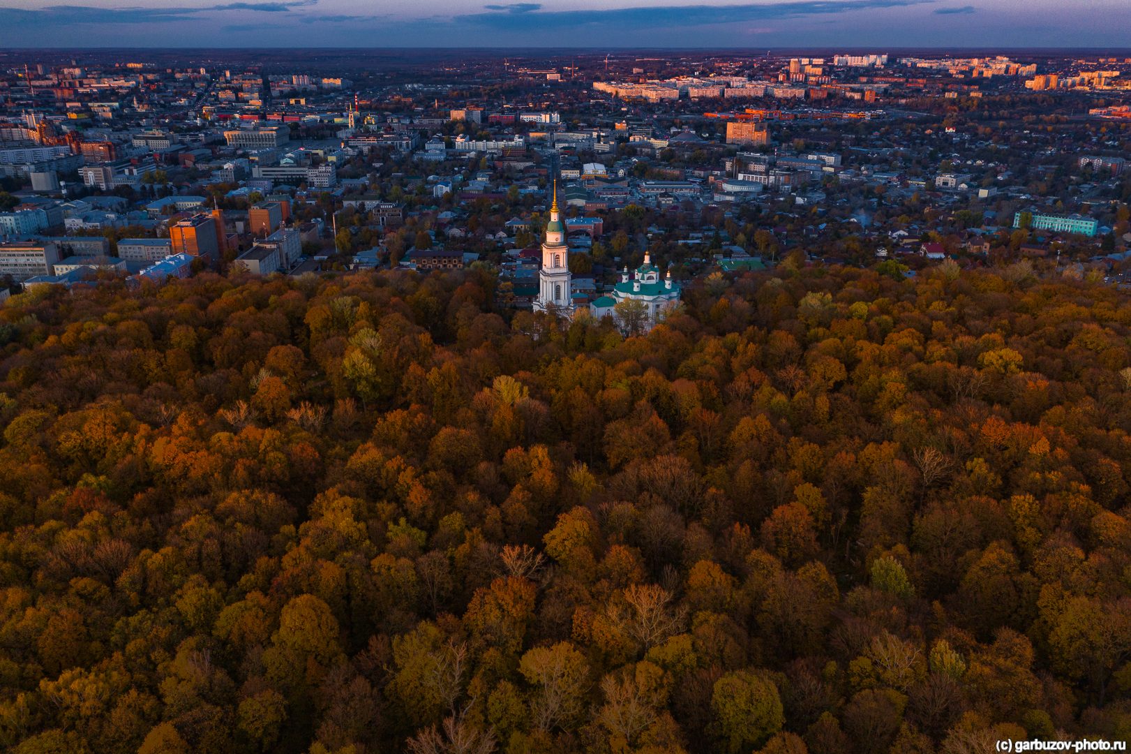 Всехсвятская роща сверху