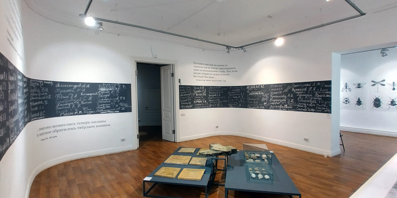 Экспозиционные залы (фото: Артём Лоскот)