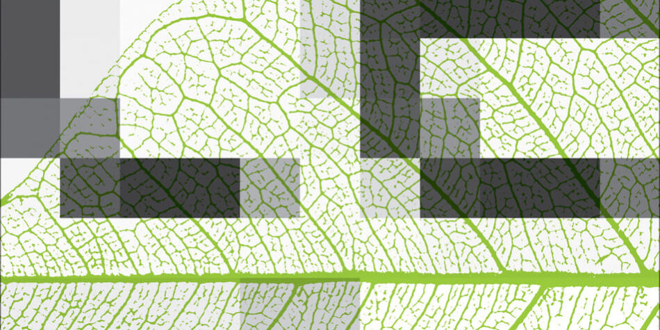 TIAM_афиша_сеть