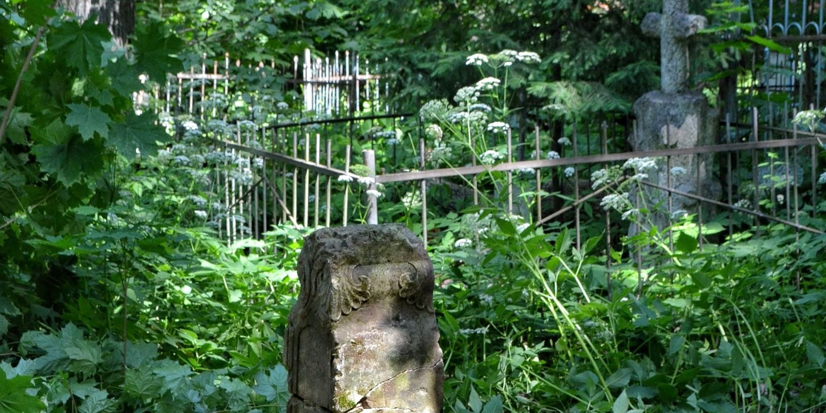 Всехсвятское кладбище (фото: Алена Матвеева)