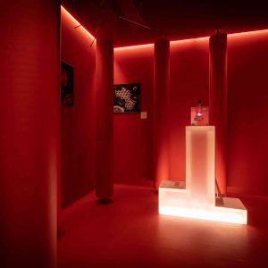 2.Нимфозориум