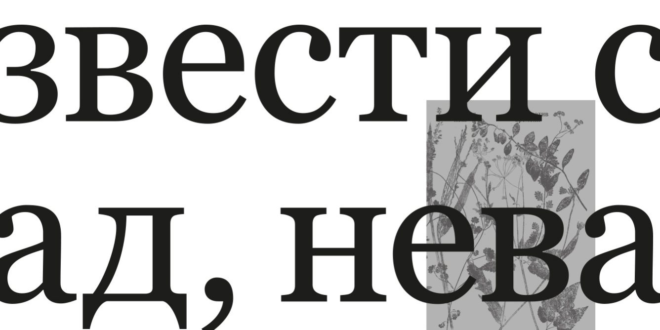 Книга месяца