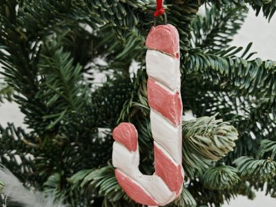 photo_2025-11-26_13-42-26