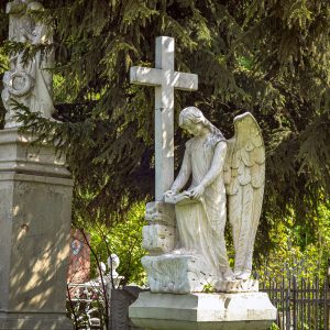 Фото: Ирина Никулина